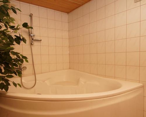 Dom z sauną i oranżerią, Jaroszówka