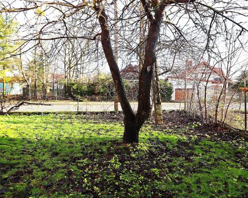 Dom  w Sejnach UWAGA NOWA CENA!