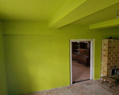 Połowa bliźniaka, Narewka