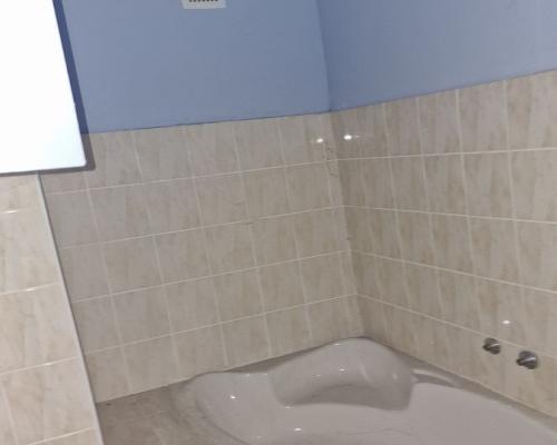 Połowa bliźniaka, Narewka