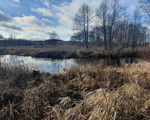 Połowa bliźniaka, Narewka
