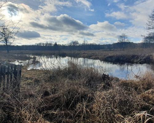 Połowa bliźniaka, Narewka