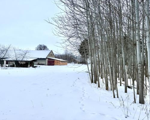 Siedlisko marzeń w miejscowości Kumiała