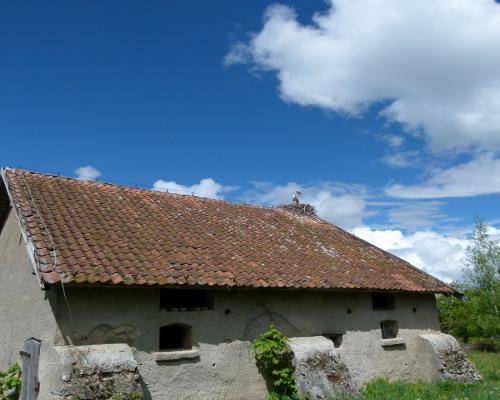 Siedlisko na Mazurach (Żabin)