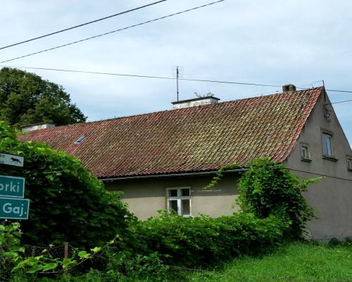 Siedlisko na Mazurach (Żabin)