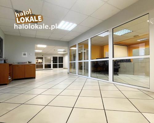 Błękitny Wieżowiec.  200 m2, 320m2