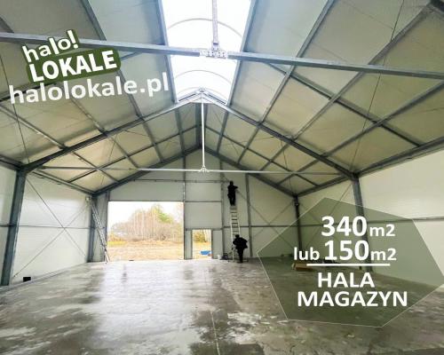 Hala pod miastem 150-350 m2