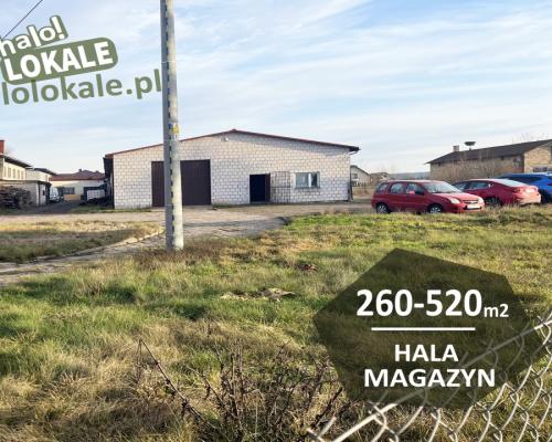 Budynek do wynajęcia  260-520 m2.