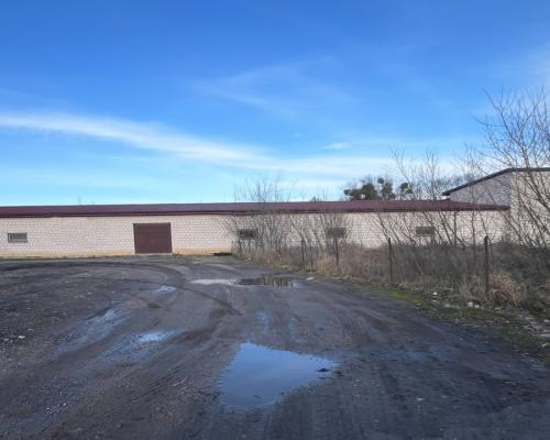 Budynek do wynajęcia  260-520 m2.