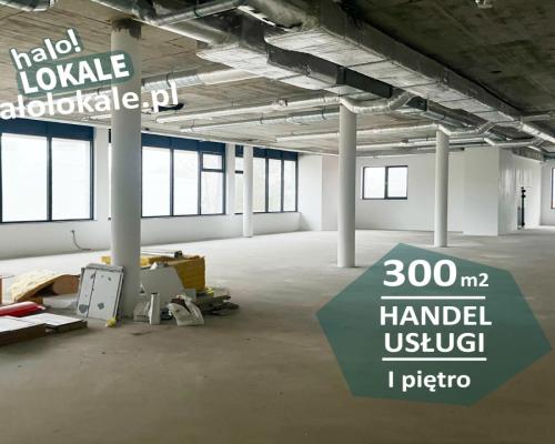 Nowoczesna powierzchnia 300 m2