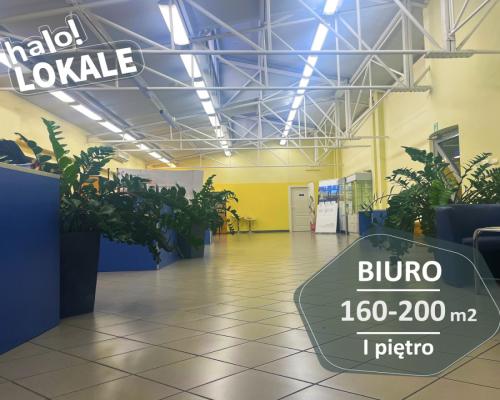 Powierzchnia biurowa 160-200 m2.