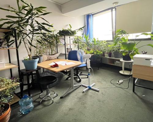 Powierzchnie biurowe, centrum