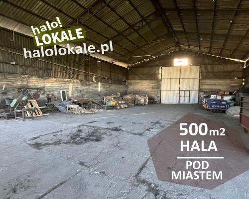 Hala pod miastem