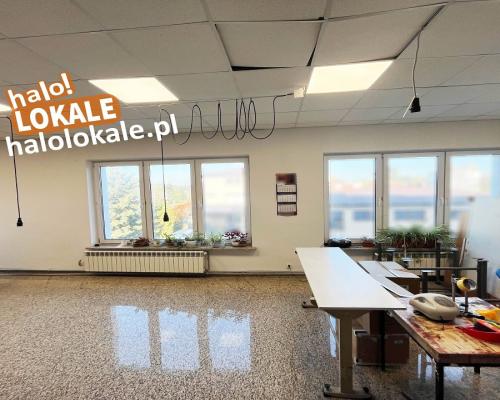 Powierzchnie biurowo usługowe
