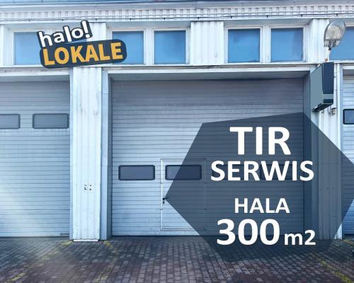 Profesjonalny Serwis  aut ciężarowych