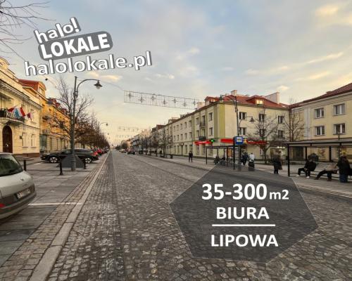 Lokale biurowe na Lipowej 60-300m2