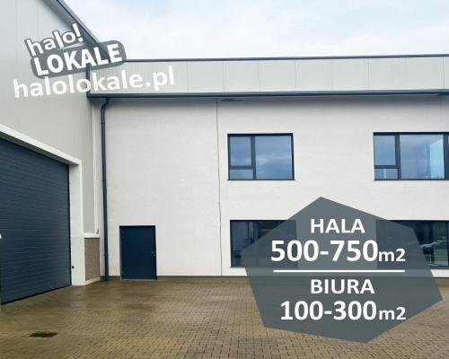 Nowoczesna hala, biura, gotowy do wynajmu.