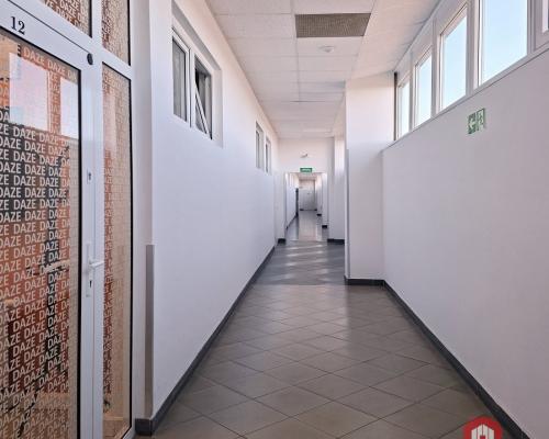 Hala - magazyn 4000 m2