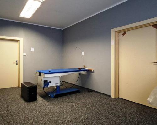 Lokal biurowy 300 m2 na wynajem