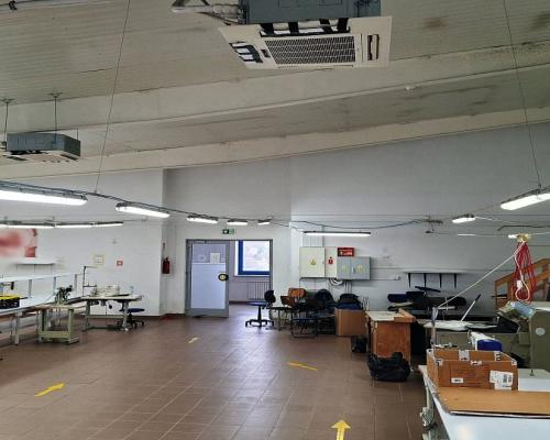 Lokal użytkowy 300 m2 na wynajem