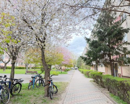 2 pokoje, świetna lokalizacja – Piastowska