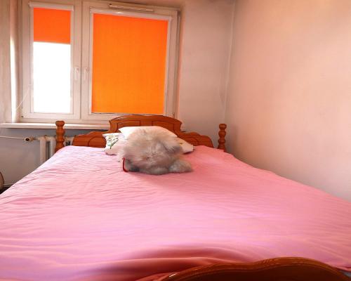 Wygodne 3 pokoje Centrum Suwałki 2 piętro