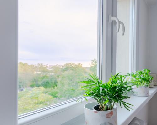 Większość atrakcyjnych nieruchomości w tej okolicy znika zanim trafia na portale. Dlatego pracujemy również na ofertach dostępn