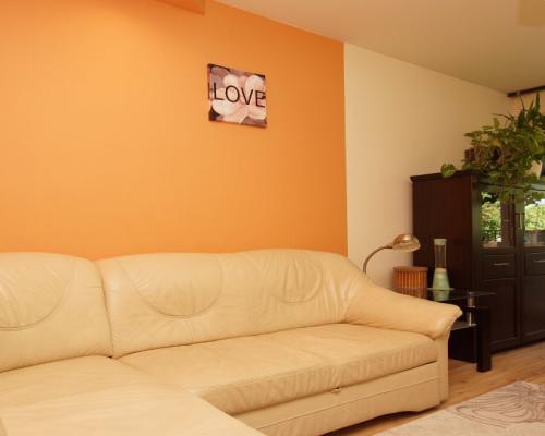 3 pokojowe mieszkanie blisko centrum