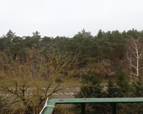 Mieszkanie 2 pokoje Augustów