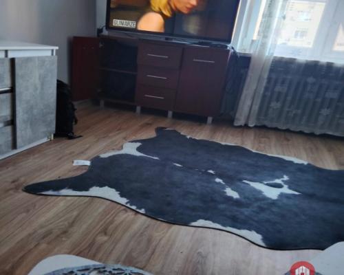 Kawalerka z potencjałem.