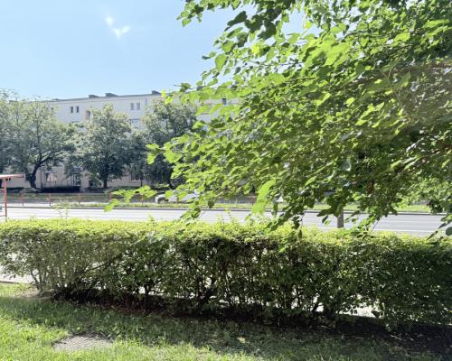 Piłsudskiego 2 pokoje parter