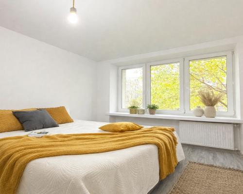 Piłsudskiego 2 pokoje parter