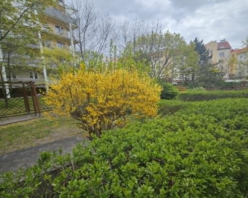 2 pokojowe mieszkanie po remoncie