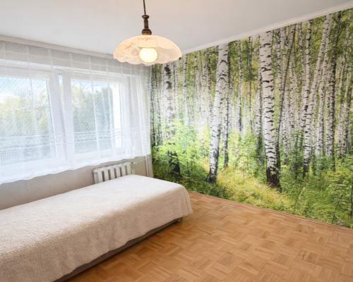 3 pokoje, ul. Wiejska | 1. piętro