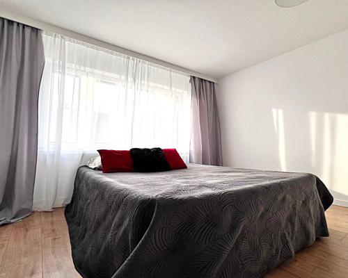 For Rent Piaski 3 oddzielne pokoje