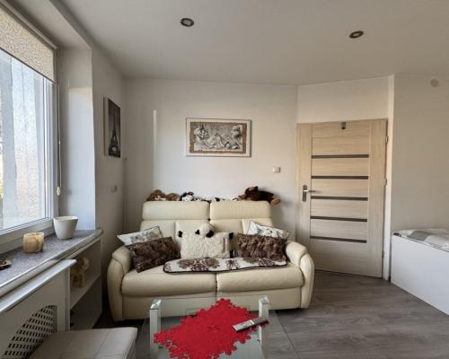 Kawalerka w Centrum na wynajem