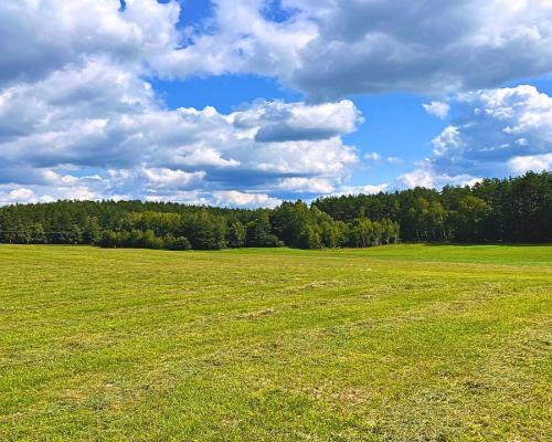 Działka budowlana w pobliżu jeziora.