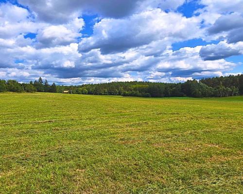 Działka budowlana w pobliżu jeziora.