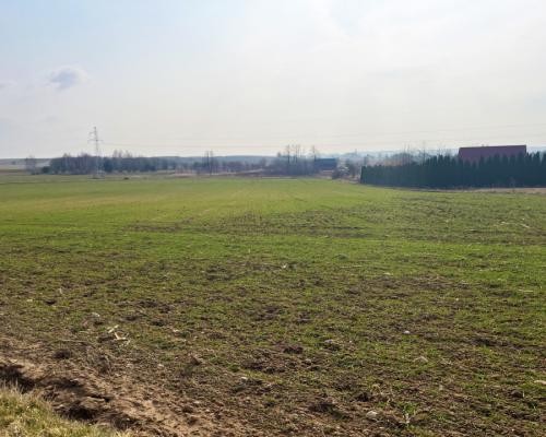 Królewskie Wzgórza, 3 km od Białegostoku.