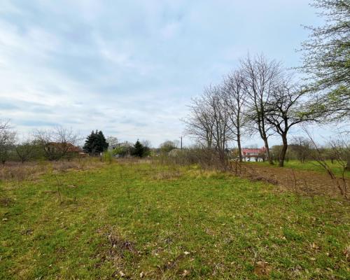 Królewskie Wzgórza, 3 km od Białegostoku.