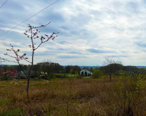 Królewskie Wzgórza, 3 km od Białegostoku.