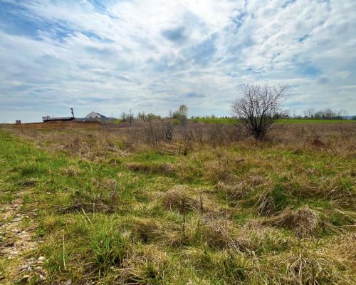 Królewskie Wzgórza, 3 km od Białegostoku.
