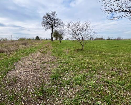 Królewskie Wzgórza, 3 km od Białegostoku.