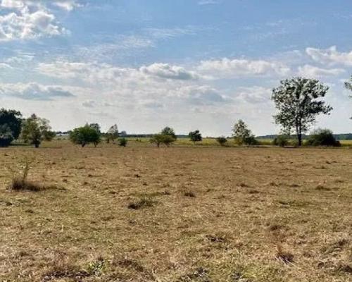 Działka inwestycyjna 1,64 ha, Rafałówka