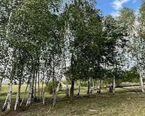 Działka inwestycyjna 1,64 ha, Rafałówka