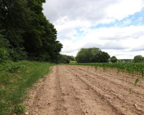 Działka na Mazurach blisko jeziora