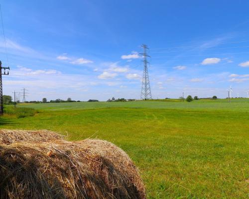 Działka w Turówce Nowej