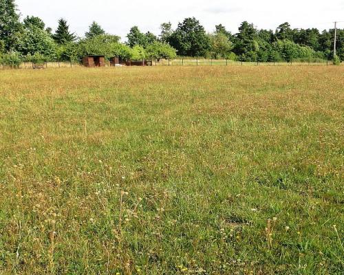 Działka rolno-budowlana 4000 m2, Letniki
