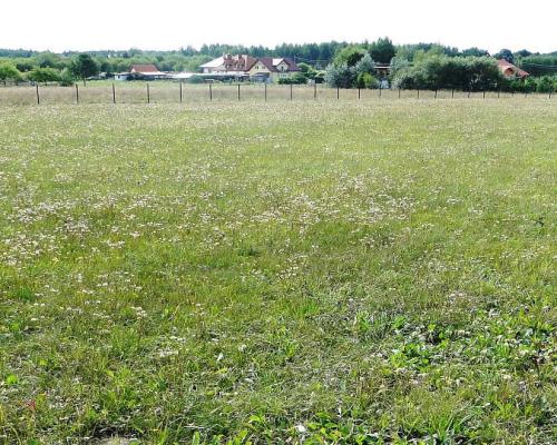 Działka rolno-budowlana 4000 m2, Letniki