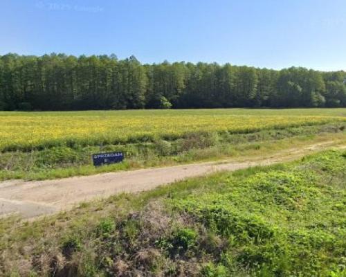 Działka zagrodowa 3000m2, Rzepniki